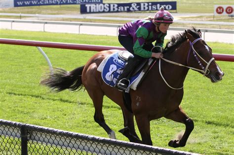 pinnacle sports horse racing|Pinnacle.